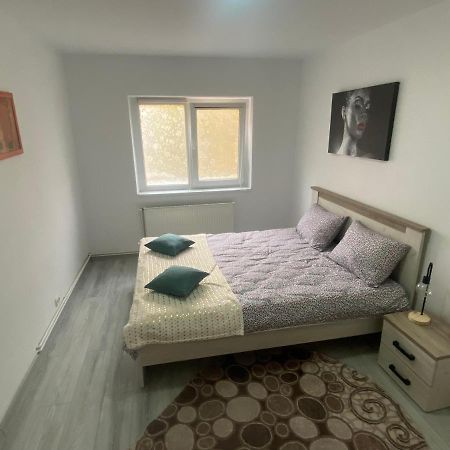 Apartment Dabic Remote And Fun Brasov Exterior photo