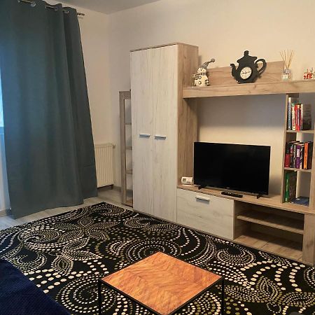 Apartment Dabic Remote And Fun Brasov Exterior photo