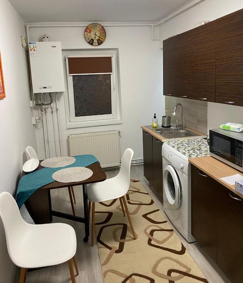 Apartment Dabic Remote And Fun Brasov Exterior photo