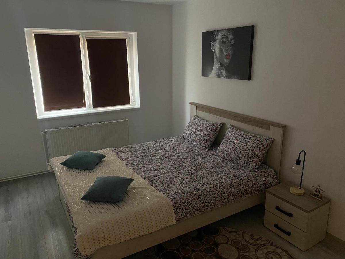 Apartment Dabic Remote And Fun Brasov Exterior photo
