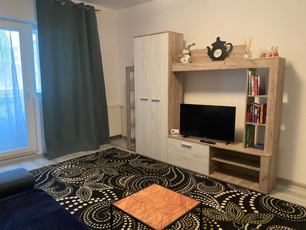Apartment Dabic Remote And Fun Brasov Exterior photo